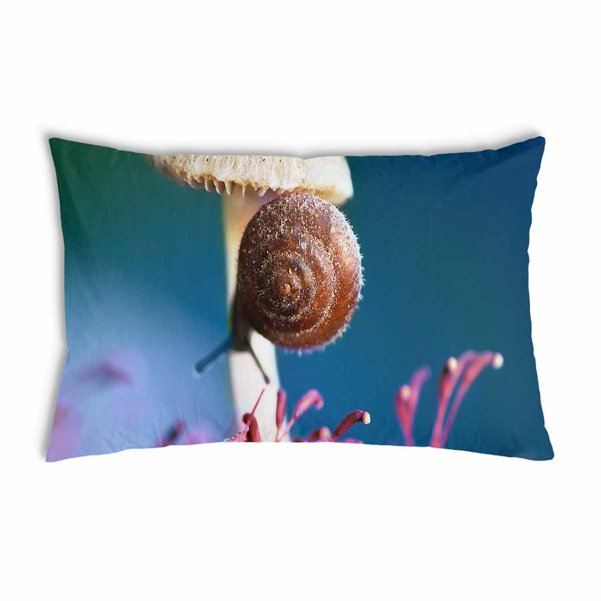 Almohada de salud con hongo y caracol