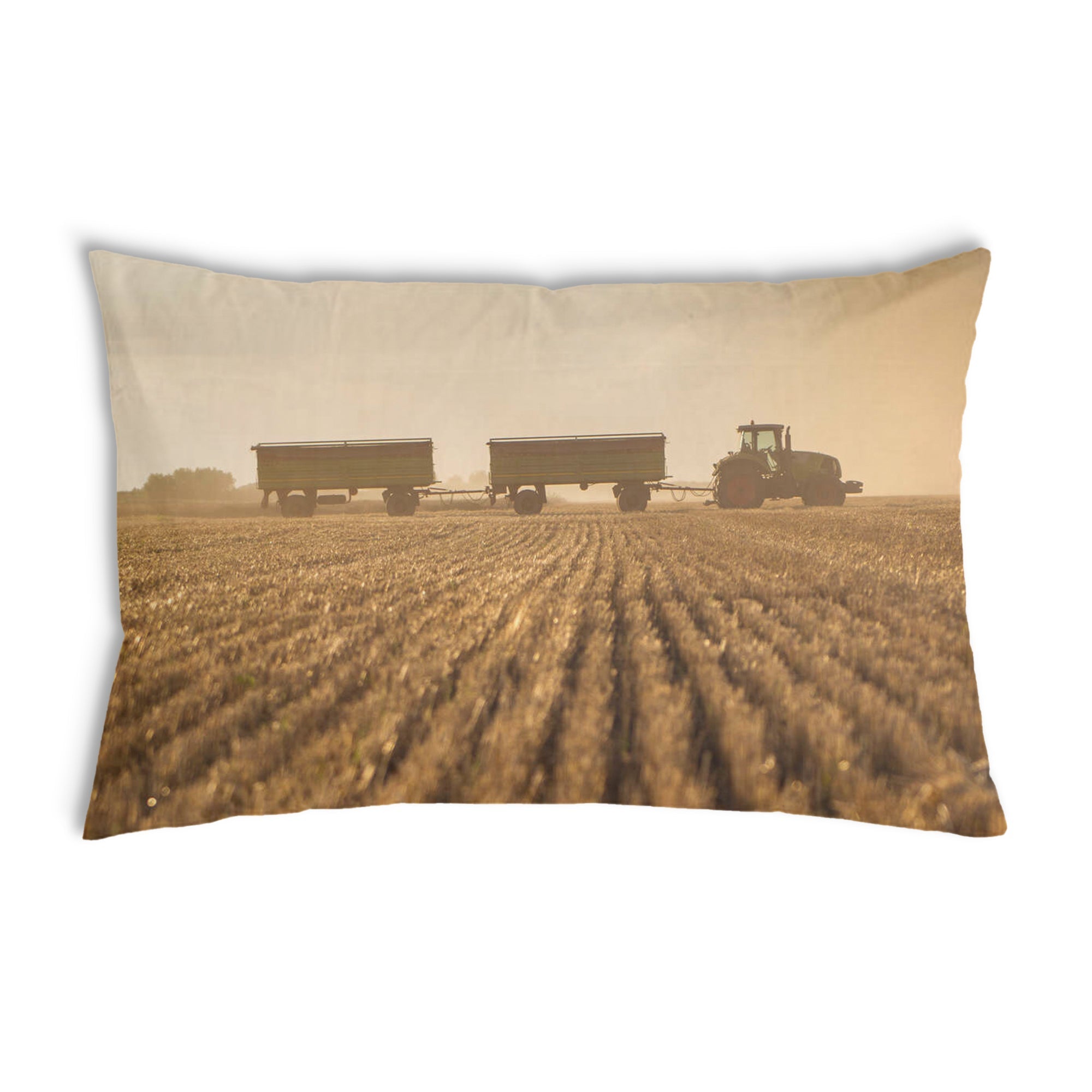 Almohada de salud Braun Acker