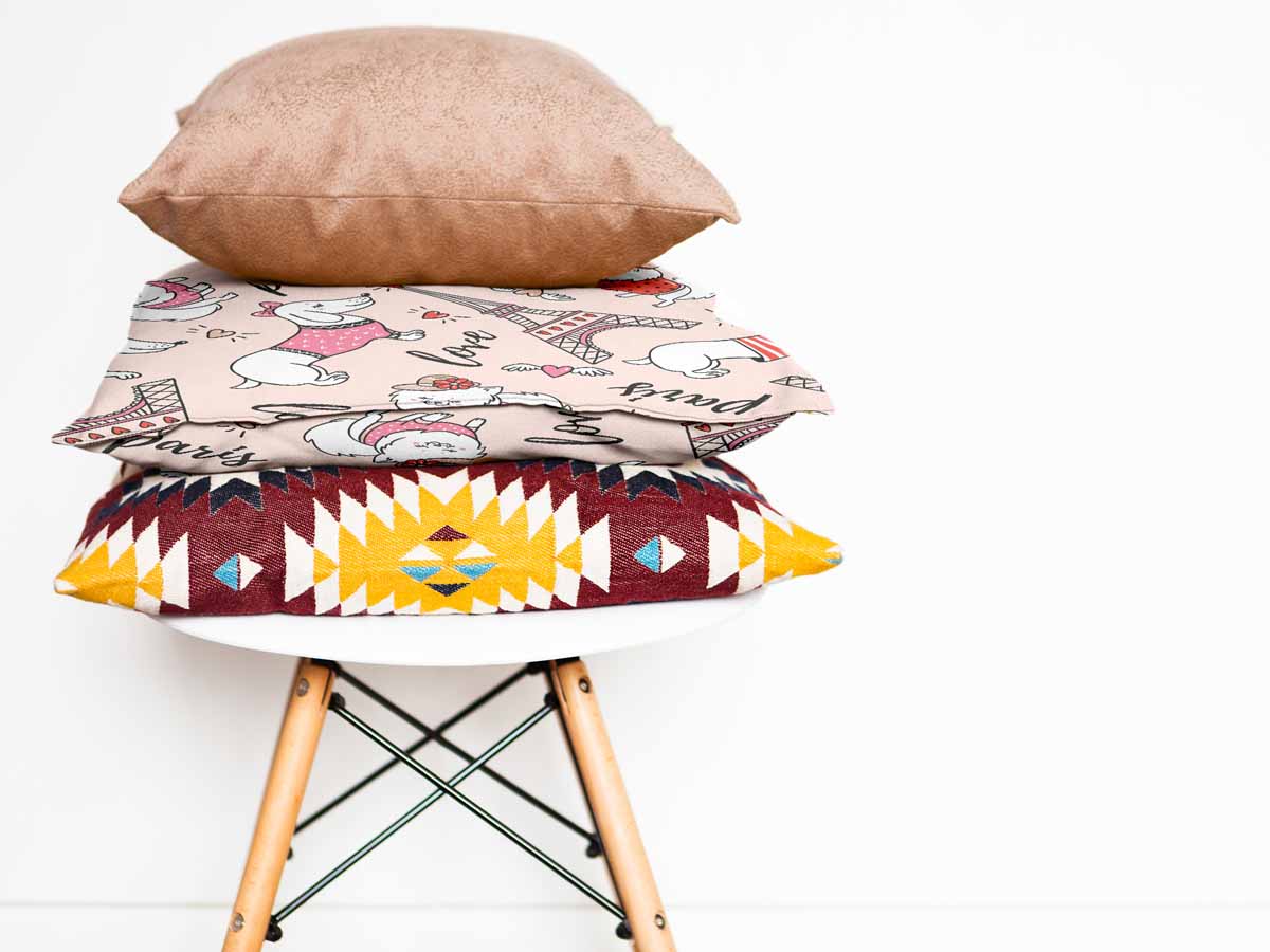 Almohada de salud para perro en París