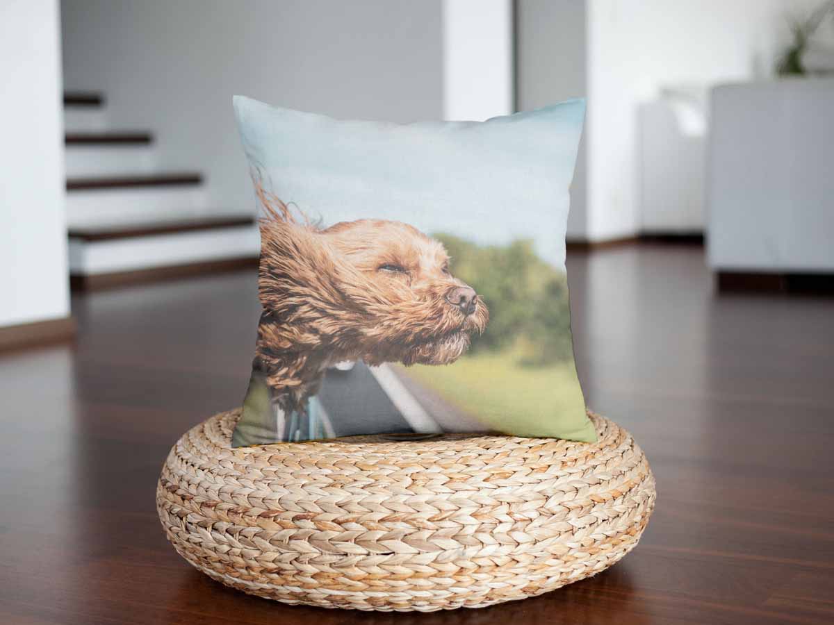 Almohada de salud con perro en el coche