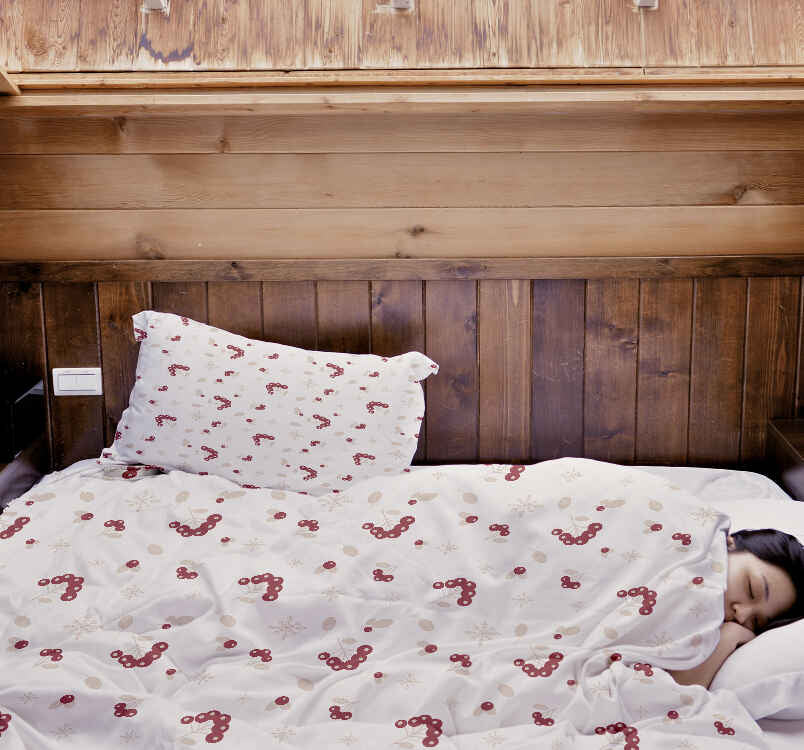Set de ropa de cama con manta terapéutica y arbusto de bayas