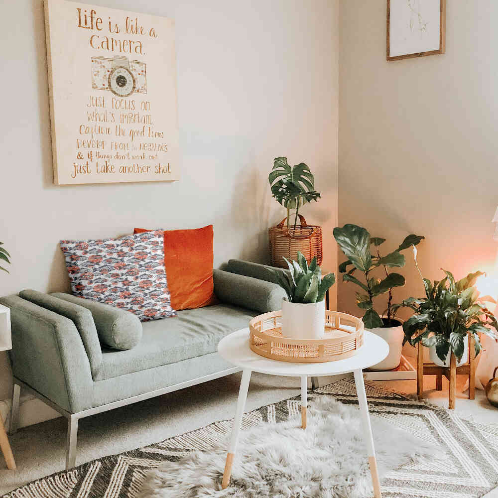 Almohada de salud peces grises