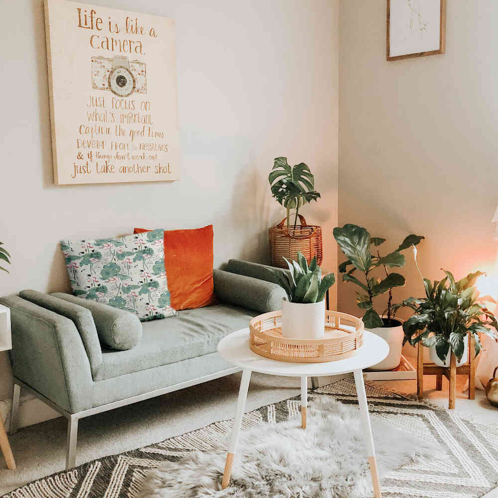 Almohada de salud Nenúfar