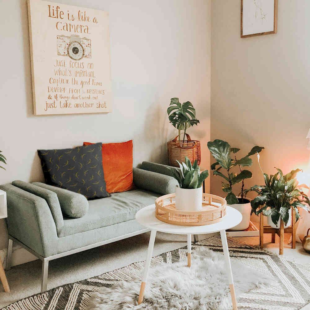 Almohada de salud gris con trigo