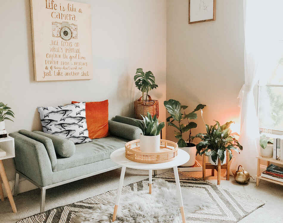 Almohada de salud ballena azul negra