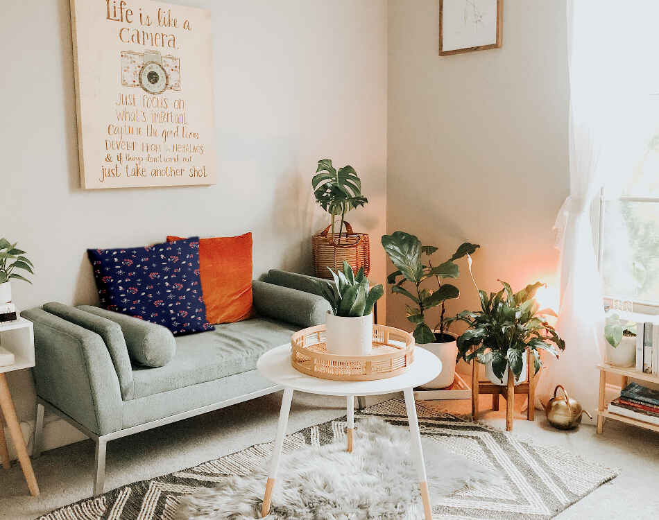 Almohada de salud azul grosella negra