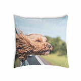 Almohada de salud con perro en el coche