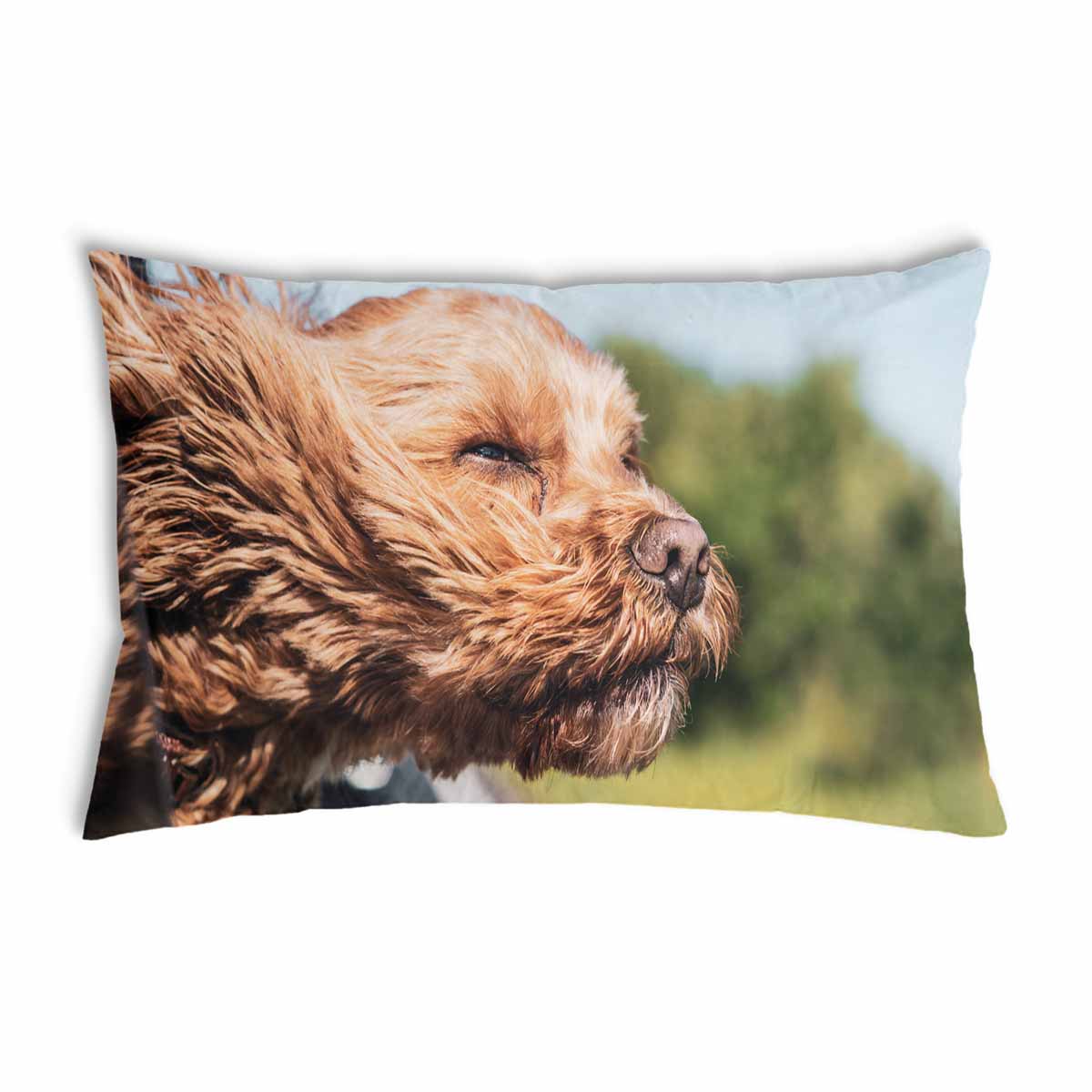 Almohada de salud con perro en el coche