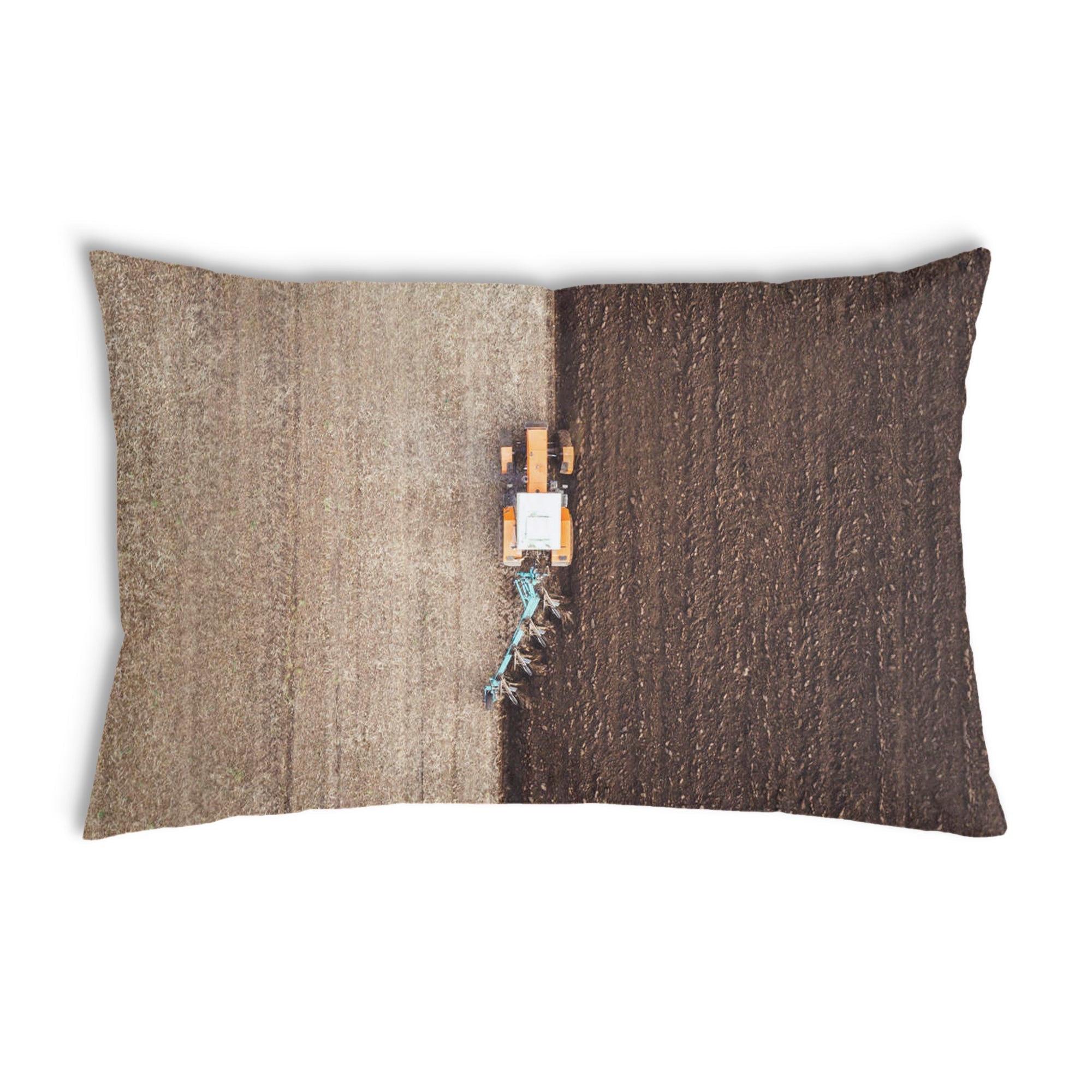 Almohada de salud Braun Ackerland