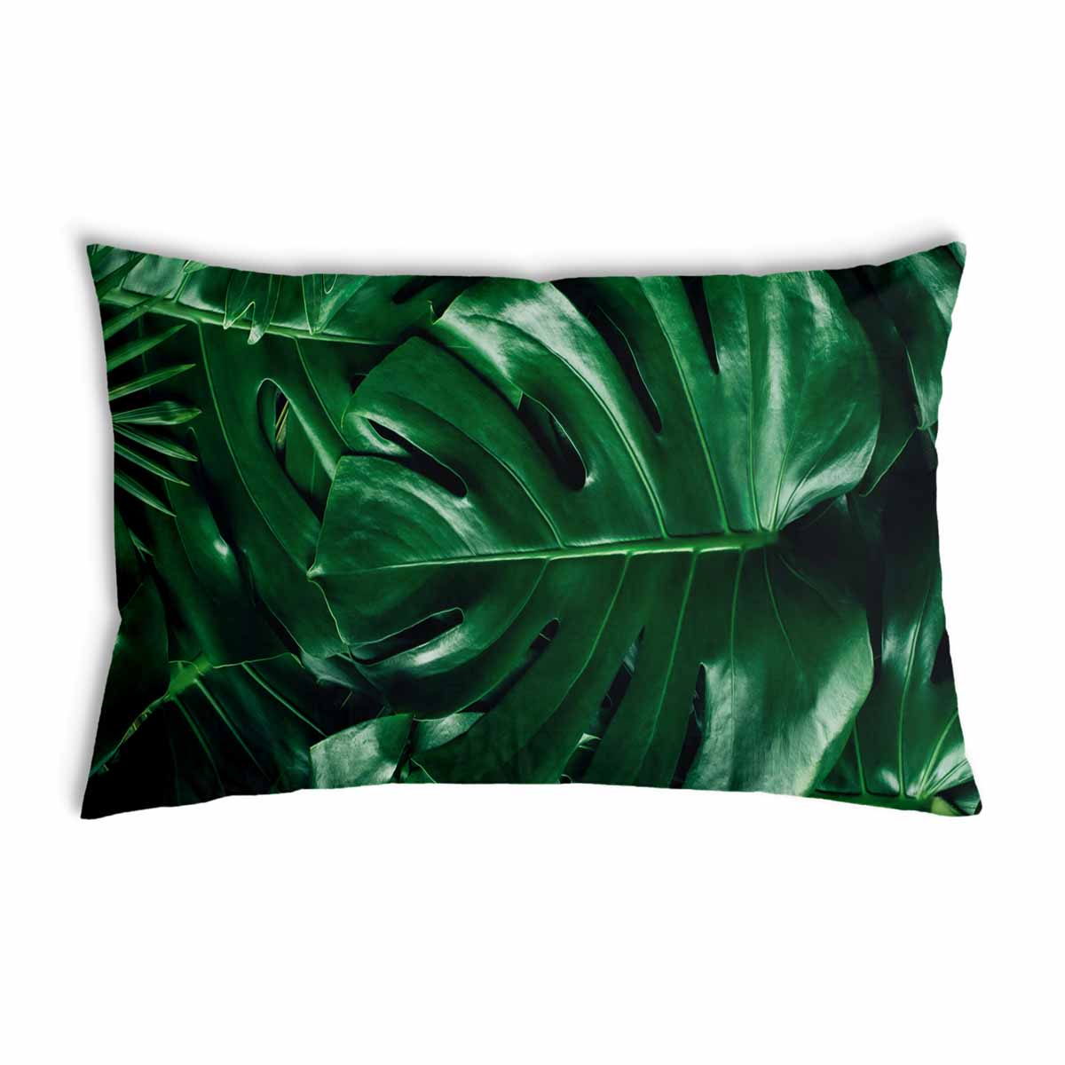 Almohada de salud con planta Monstera