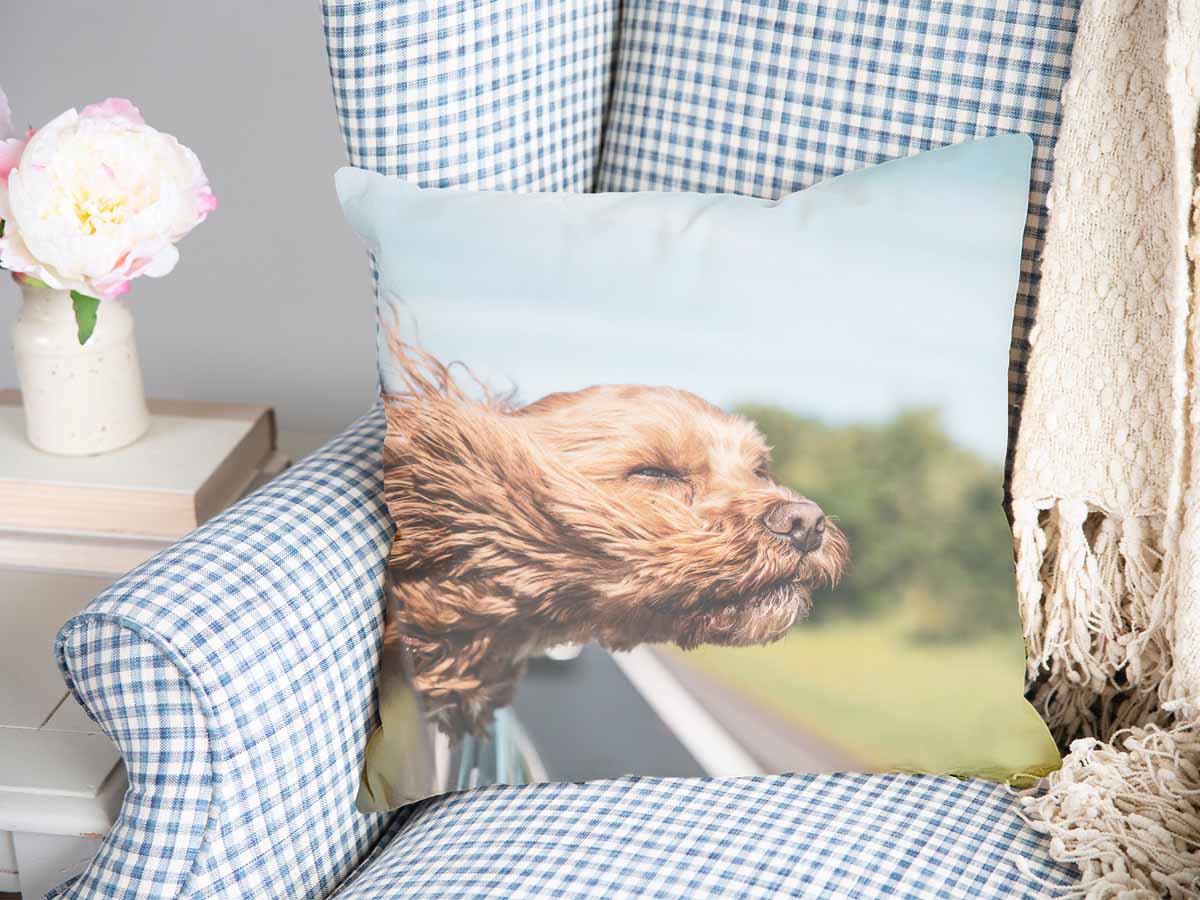 Almohada de salud con perro en el coche