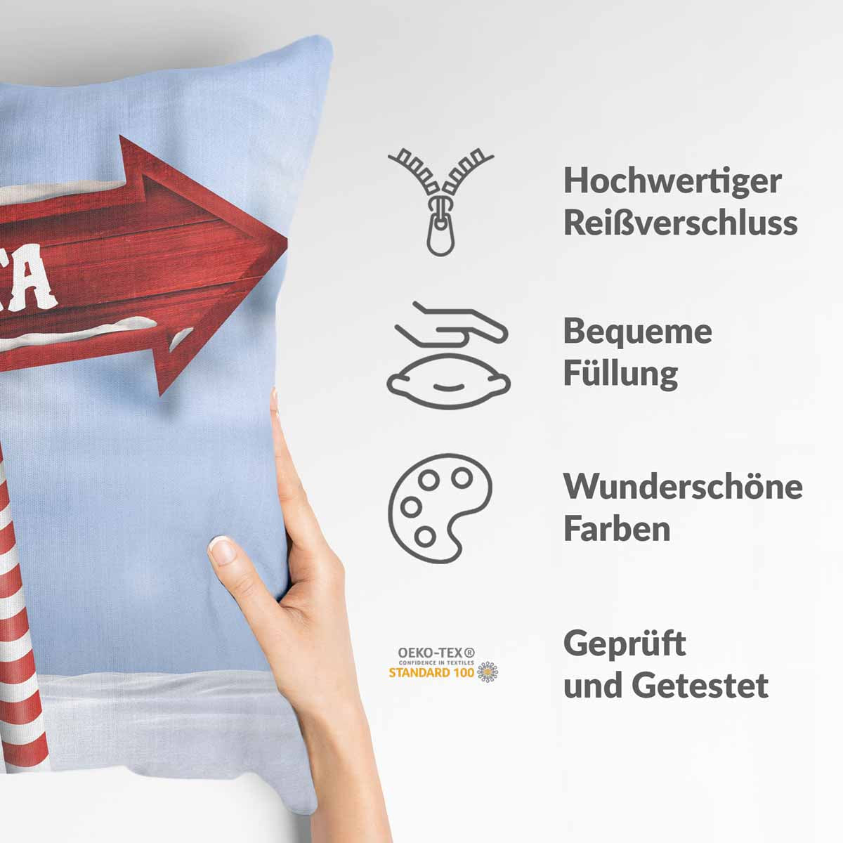 Almohada de salud Santa