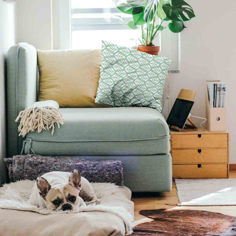 Almohada de salud verde con abeto