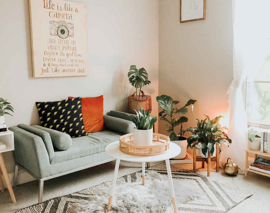 Almohada de salud negra con Harry Blitz