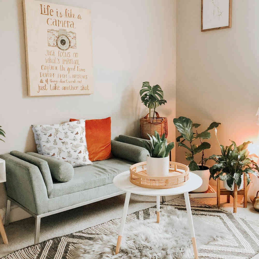 Almohada de salud blanca con animales adorables