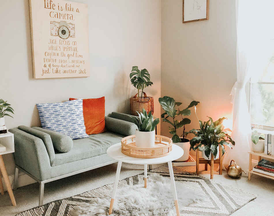 Almohada de salud peces azules