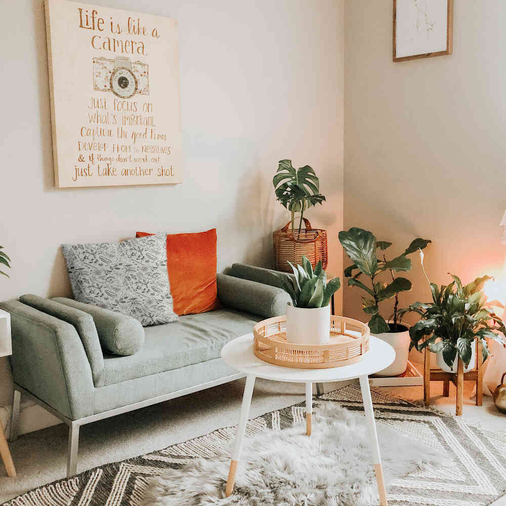 Almohada de salud gris especias