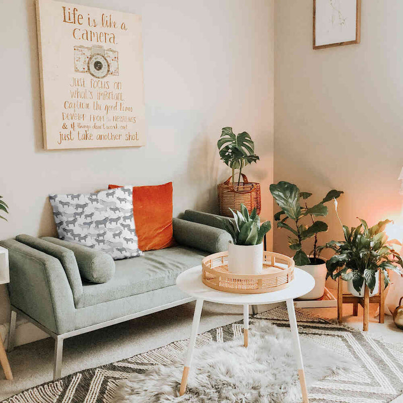 Almohada de salud gris con burros