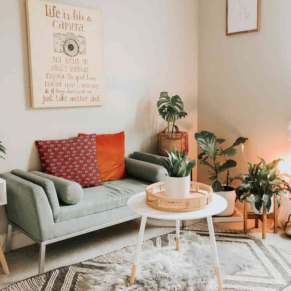 Almohada de salud roja para llevar