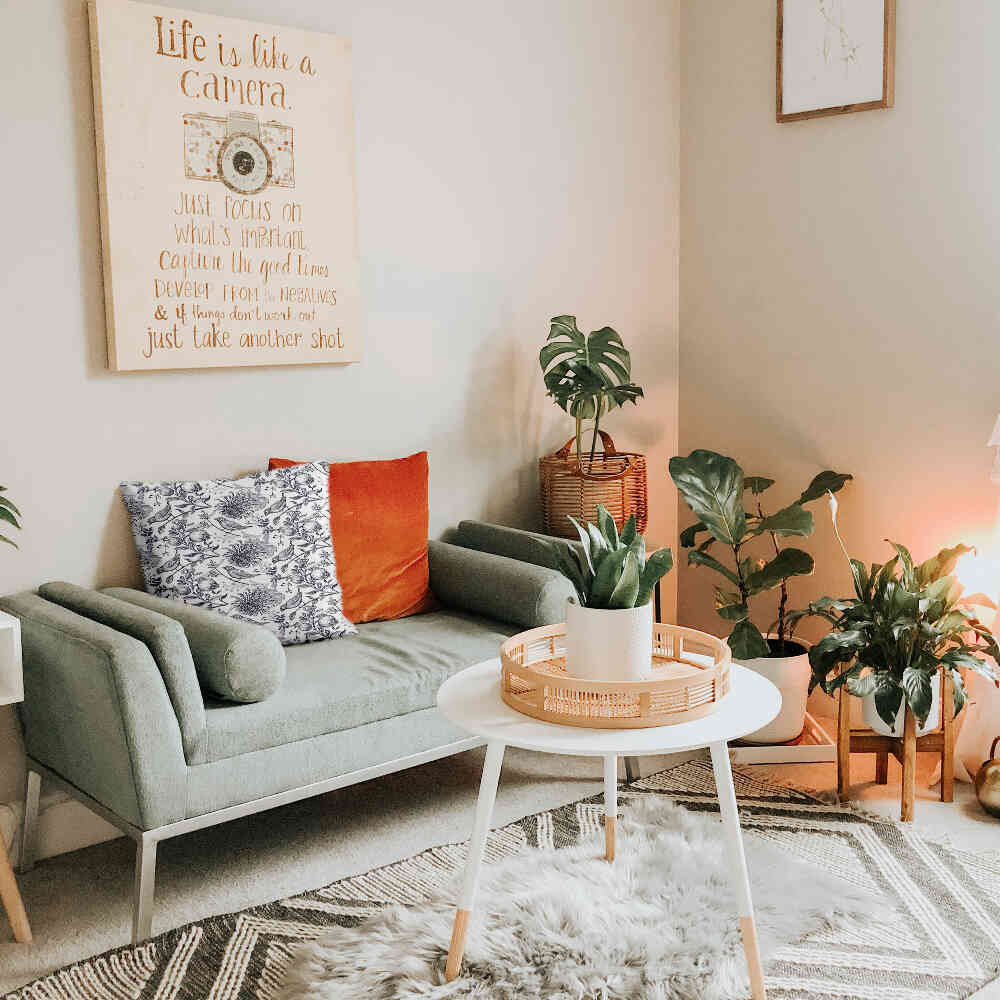 Almohada de salud gris primavera