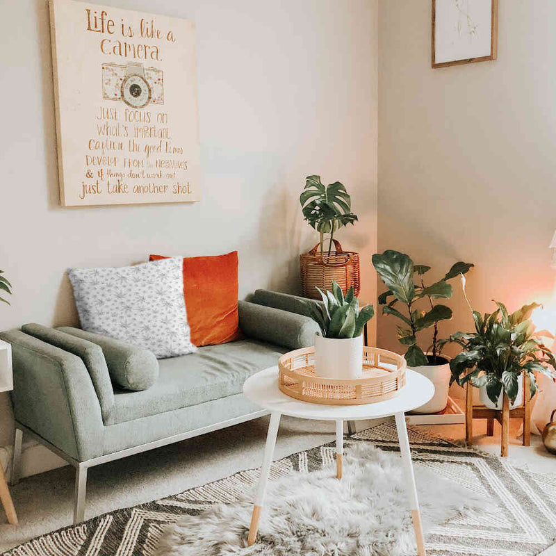 Almohada de salud gris con hiedra